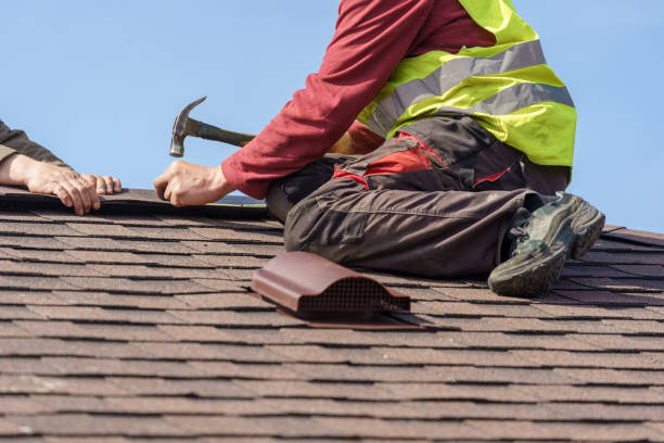 Best Roof Gutter Cleaning  in River Heights, UT