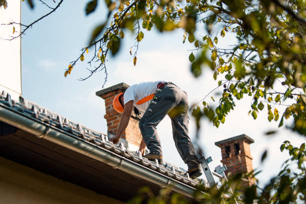 Best Roof Gutter Cleaning  in River Heights, UT